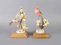 A Pair of Royal Worcester Dorothy Doughty Birds Vermillion Flycatchers