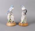 A Pair of Royal Worcester Dorothy Doughty Birds Mountain Bluebirds