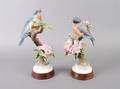 A Pair of Royal Worcester Dorothy Doughty Birds Blue Birds