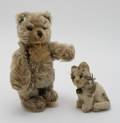 A Stuffed Bear and a Kitten Steiff