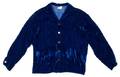 A Blue Velvet Jacket
