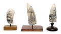 A Group of Three Scrimshaw Whales Teeth