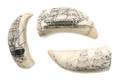 A Group of Three Scrimshaw Whales Teeth