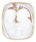 A 14 Karat Yellow Gold and Shell Cameo Brooch
