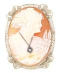A 14 Karat White Gold and Shell Cameo Filigree Brooch