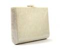A White Lucite Box Clutch