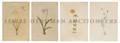 A Group of Four Botanicals