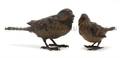 Two Austrian Cold Painted Bronze Birds Bergman