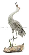 A Boehm Model of a Sandhill Crane