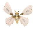 A Hattie Carnegie Butterfly Brooch