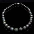 A Single Strand Cultured Pearl Necklace