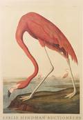 John James Audubon