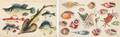 A Collection of TwentySeven Watercolor Paintings on Pith of Shells and Fish