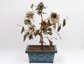CHINESE JADE TREE WITH CLOISONNE PLANTER
