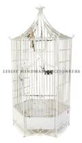 A Painted Bird Cage
