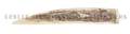 A Scrimshaw Walrus Tusk