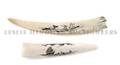 A Group of Two Scrimshaw Tusks