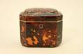 19th Century Tortoise Shell Tea Caddy