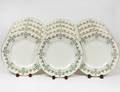 SET OF TWELVE MINTON PORCELAIN SERVICE PLATES