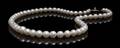 A 10 Karat White Gold and Cultured Pearl Single Strand Necklace