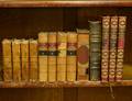 GROUP OF THIRTEEN ANTIQUE FRENCH BOOKS