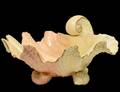 ROYAL WORCESTER PORCELAIN SHELL DISH