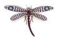 An 18 Karat Gold Ruby Sapphire and Diamond Dragonfly Brooch