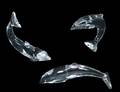 SET OF THREE BACCARAT CRYSTAL DOLPHINS