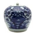 A Chinese Porcelain Ginger Jar
