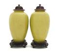 A Pair of Chinese Ovoid Porcelain Vases