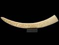 TRIBAL CARVED IVORY TUSK
