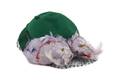 A BesBen Green Felt Bird Hat