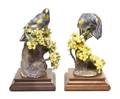 A Pair of Royal Worcester Dorothy Doughty Birds Audubons Warblers