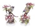 A Pair of Royal Worcester Dorothy Doughty Birds Red Eyed Vereos
