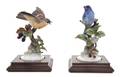 A Group of Royal Worcester Dorothy Doughty Birds Indigo Buntings