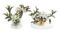 A Pair of Royal Worcester Dorothy Doughty Orange Blossom Sprays