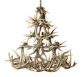 An Antler Chandelier