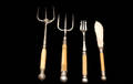 113 Four Assorted Antique Ivory Handled Serving Pieces