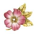 An Art Nouveau Yellow Gold Cultured Pearl and Polychrome Enamel Flower Brooch