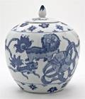A Chinese Porcelain Ginger Jar