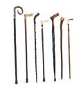 A Collection of Eight Naturalistic Handled Canes