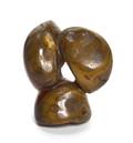 A Chinese Toggle of Three Chestnuts