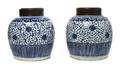 A Group of Two Porcelain Ginger Jars