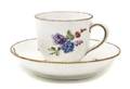 A Sevres Style Cup and Saucer