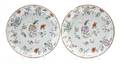 A Pair of Chinese Porcelain Enameled Plates