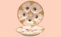 108 Two Limoges Hand Painted Oyster Plates