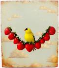 David Arms Goldfinch w Strawberry Painting