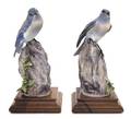 A Pair of Royal Worcester Dorothy Doughty Birds Mountain Bluebirds