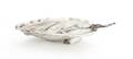 An American Sterling Silver Master Salt Cellar and Spoon Gorham