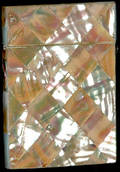 201 Antique Mother of Pearl Card Case